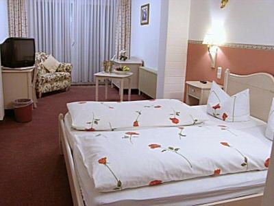 Hotel Schlossgarten Gladenbach Bilik gambar